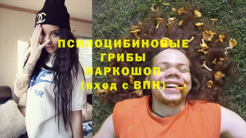 Псилоцибиновые грибы Psilocybe  купить наркотики цена  блэк спрут как войти  Борзя 